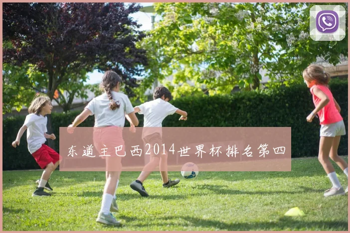 东道主巴西2014世界杯排名第四