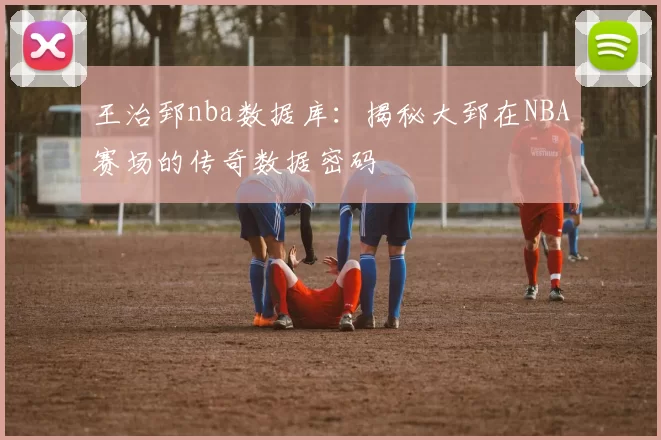 王治郅nba数据库：揭秘大郅在NBA赛场的传奇数据密码