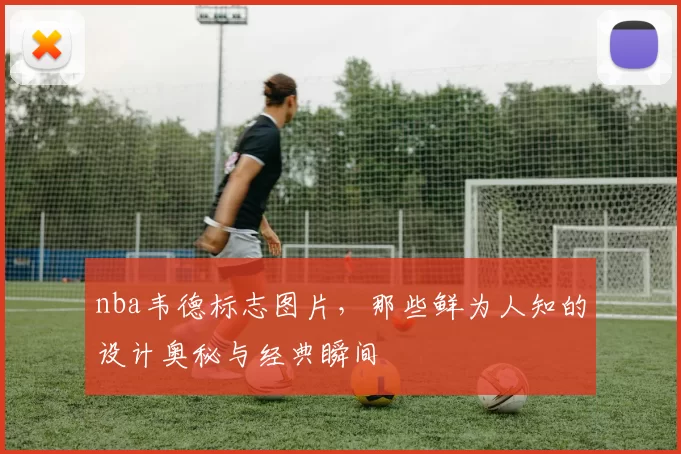 nba韦德标志图片，那些鲜为人知的设计奥秘与经典瞬间