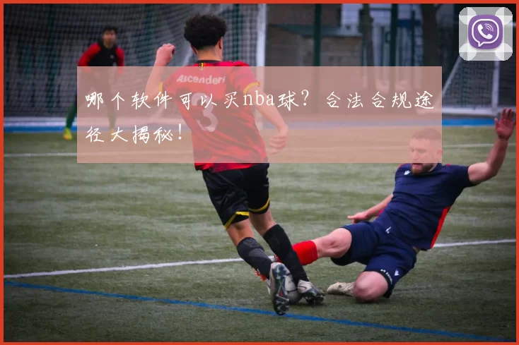 哪个软件可以买nba球？合法合规途径大揭秘！