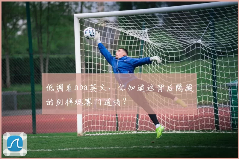 低调看nba英文，你知道这背后隐藏的别样观赛门道吗？