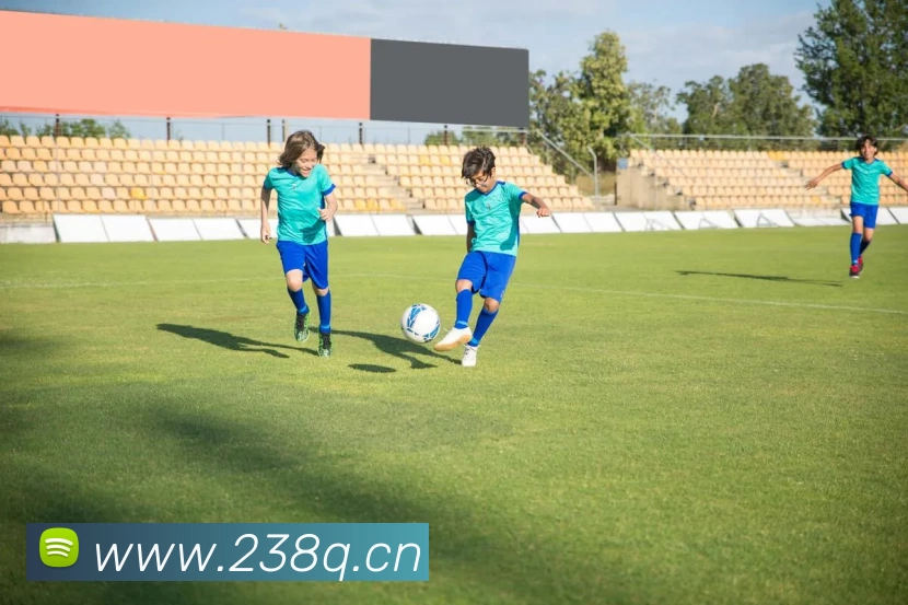 开云(中国)Kaiyun·官方网站 - 登录入口服务体系