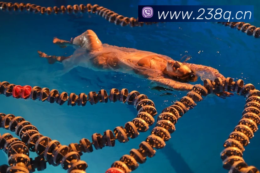 数据防护可视化
